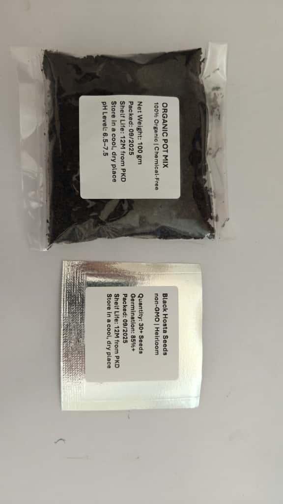 Black Hosta Seeds + Plant Growth Serum Free